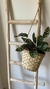 Escalera bambi natural