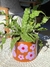 Maceta flowers en internet
