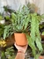 Maceta simil plastica n16