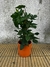Cilindro barro terracota - m18 - comprar online