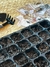 Semillero para germinacion (98 celdas)