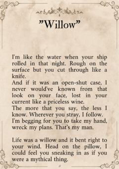 Evermore Lyrics Book - tienda online