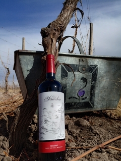 Malbec barrica 2022 caja x 6 botellas de 750 cc.