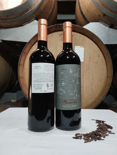 Merlot Reserva 2020 caja x 6 botellas de 750 cc.