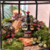 Terrário Orquidário - comprar online
