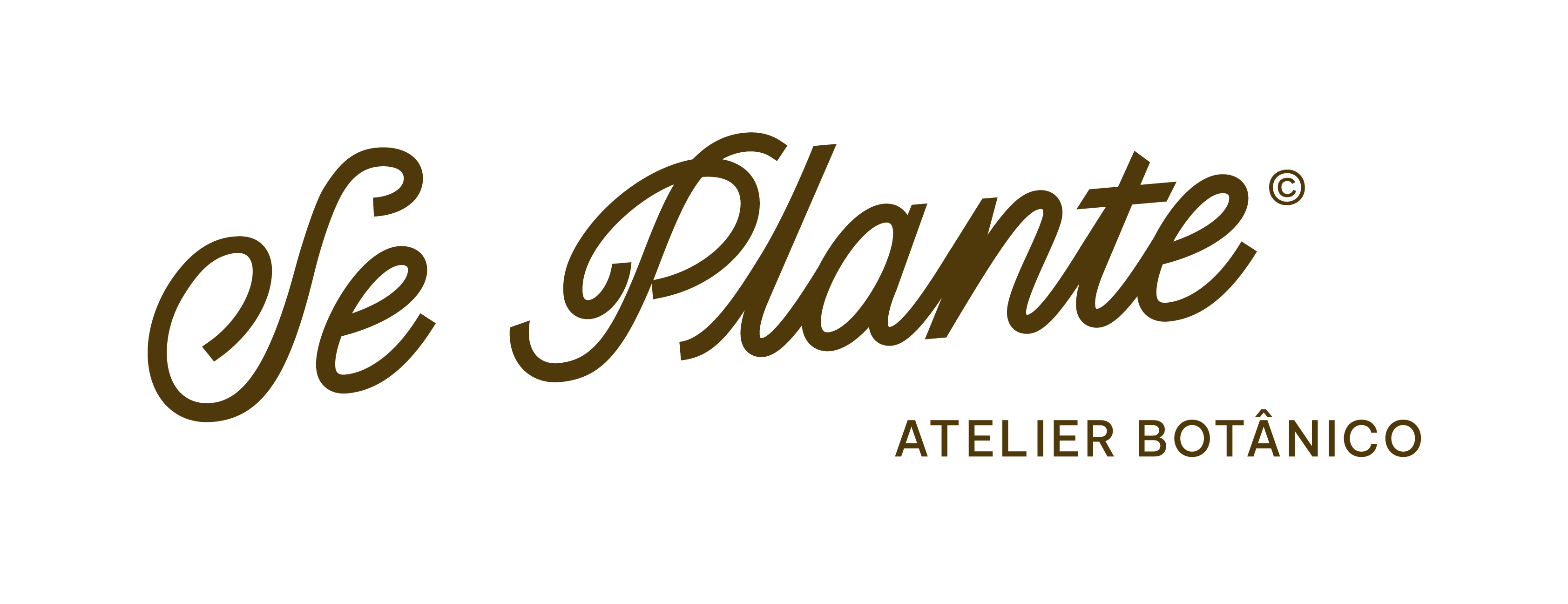 Se Plante Atelier Botânico