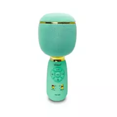 Microfone Bluetooth Karaoke Fm Usb C/ Caixa - Xtard - comprar online