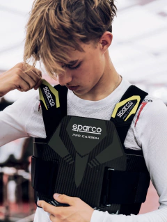 Imagen de COSTILLERA PRO CARBON