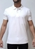 CAMISETA POLO MASCULINA PIQUET BORDADO - KING & JOE - comprar online