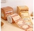 Capivara Box Lembretes Autocolantes (256 LEMBRETES)