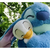 PELÚCIA LILO & STITCH 40CM - comprar online