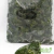 Espinaca IQF por 2,5 kg - comprar online
