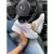 Tenis Puma Feminino Tendência Dia a Dia Pronta Entrega Super Desconto na internet