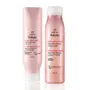 Kit Natura Tododia Reparação: Shampoo e Condicionador