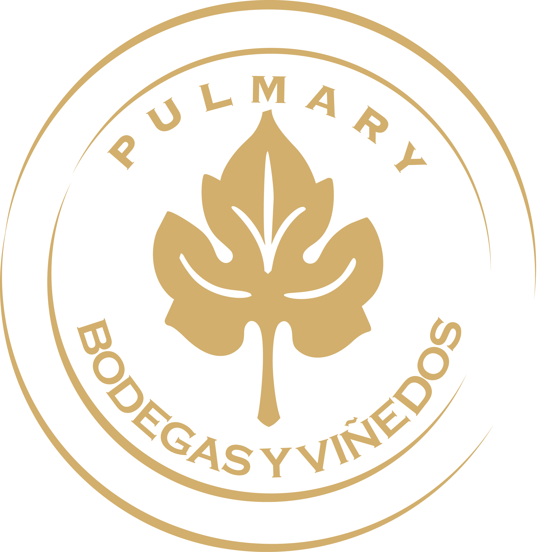 Bodega Pulmary Vinos Orgánicos