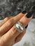 Anillo Oasis en internet