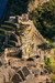 Explore Machu Picchu em um Dia Completo en internet