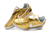 Tênis Nike Tiempo Legend 7 R10 Elite na internet