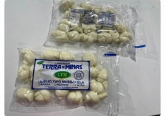 Queijo Nozinho Terra de Minas - comprar online