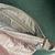 Bolsa Kipling crossbody Annabelle rosa quartz metallic - loja online
