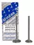 VALVULA - KAYAK 150 ADM/ESC COMPETICION JGO MPI