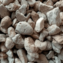 PIEDRA POMETINA - comprar online
