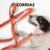 Banner de Wolf Dogs Walk | Accesorios para perros