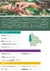 Café Blend 60kg - Finca El Porvenir - comprar online