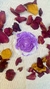 Kit Magia Feminina - comprar online