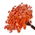 Imagem do 300 Sempre Viva Florzinha Cor Salmão I Flores Desidratadas