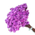 6.000 Sempre Viva Florzinha Magenta I Flores (Atacado)
