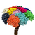 300 Sempre Viva Florzinha Cor Azul Claro I Flores Desidratadas - comprar online