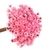 1.500 Sempre Viva Florzinha Rosé I Flores Desidratadas