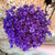 1.800 Florzinhas Sempre Vivas | Kit para Decoração, Convites, Lembrancinhas e Artesanato - Yastter Flores