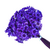 900 Sempre Viva Florzinha Roxo I Flores Desidratadas