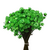 3.000 Sempre Viva Florzinha Verde Claro I Flores (Atacado) - comprar online