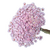 6.000 Sempre Viva Florzinha Lilás I Flores (Atacado)