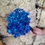 300 Sempre Viva Florzinha Azul Escuro I Flores Desidratadas - comprar online