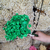 1.800 Florzinhas Sempre Vivas | Kit para Decoração, Convites, Lembrancinhas e Artesanato - loja online