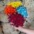 300 Sempre Viva Florzinha Branca I Flores Desidratadas - Yastter Flores