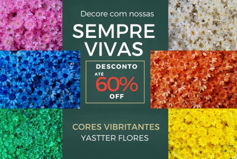 Banner de Yastter Flores