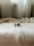 Anillo Chunky Heart - comprar online