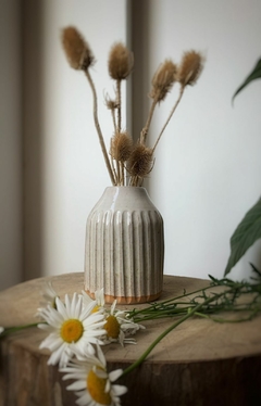 FLORERO MARRUECOS