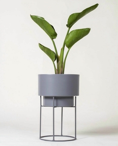 SET RHODA N2 - BAJO - tienda online
