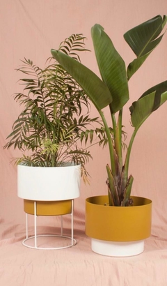 SET RHODA N3 - BAJO - comprar online