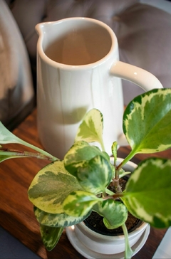 JARRA CERAMICA - tienda online