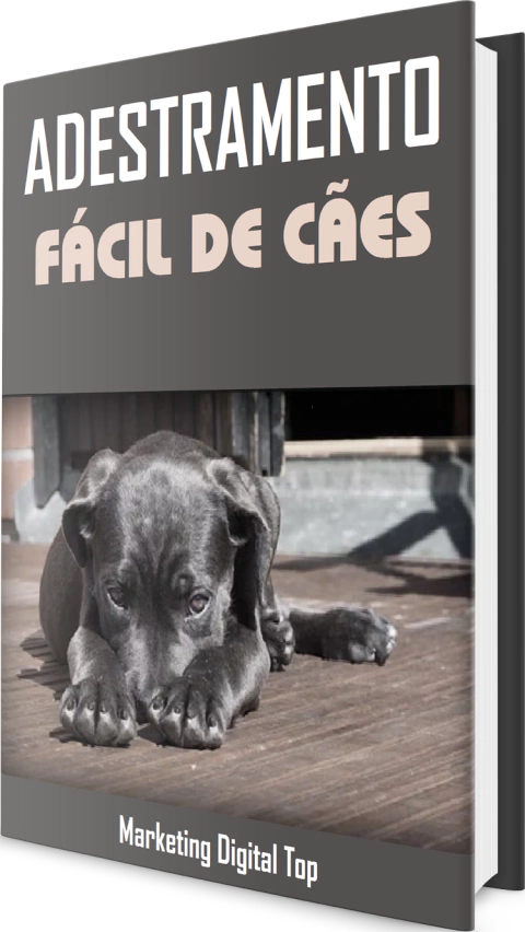 Adestramento de cães