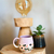 Taza. en internet