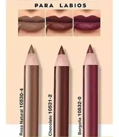 Lapiz delineador para labios (Chocolate) en internet