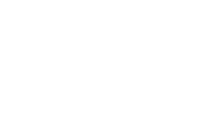 MENTE SA COSMETICOS